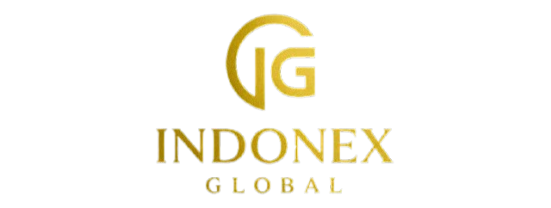 Indonex Global Logo
